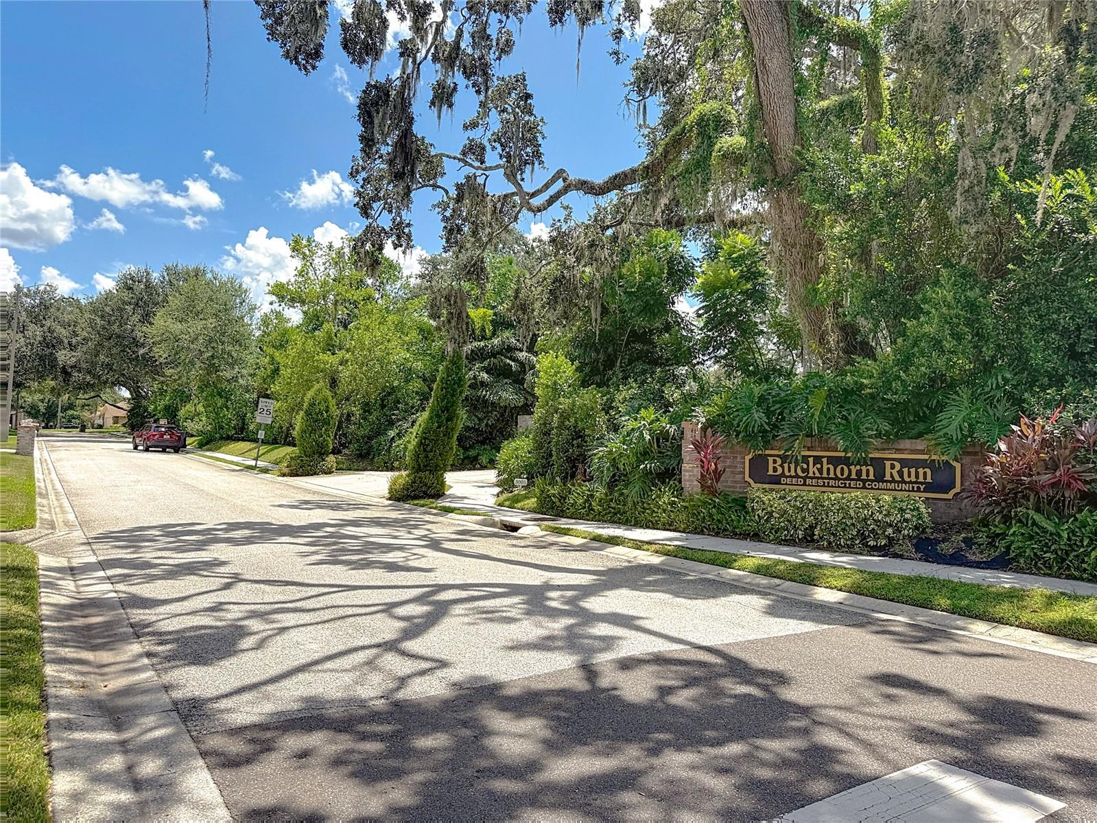 BUCKHORN RUN - Residential