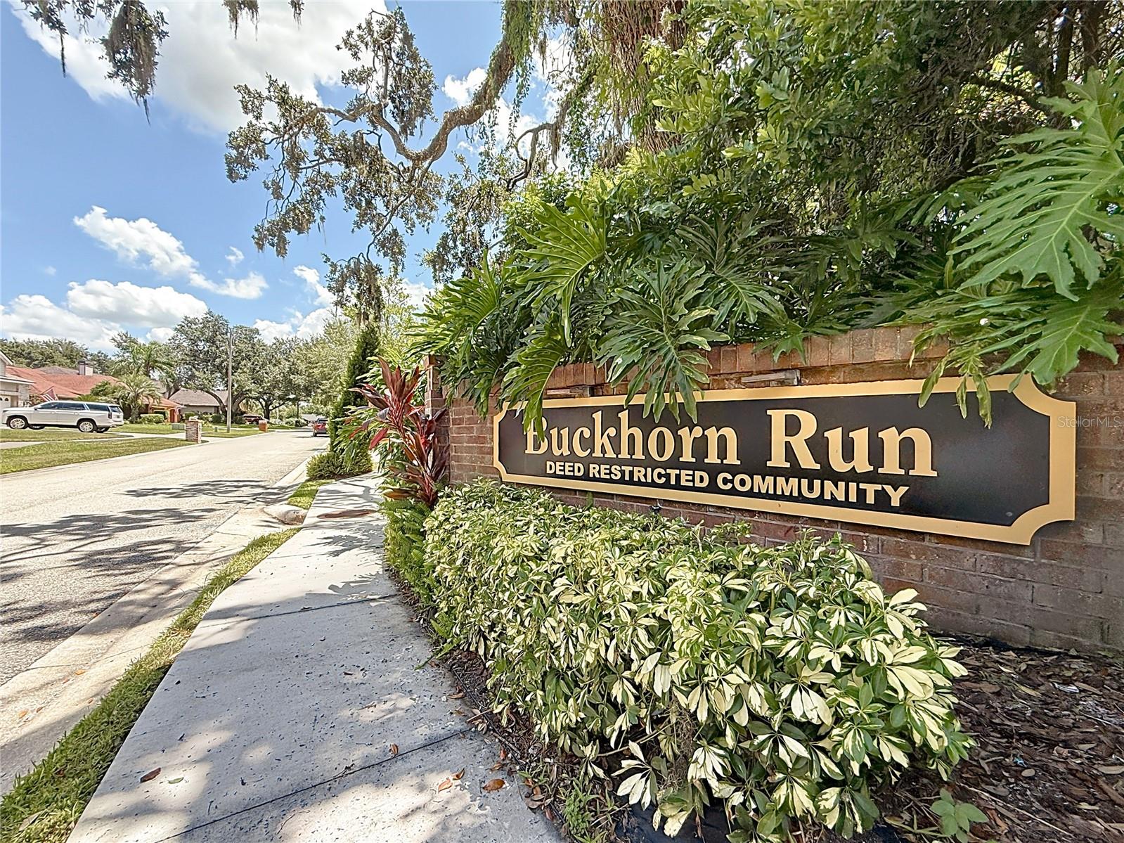 BUCKHORN RUN - Residential