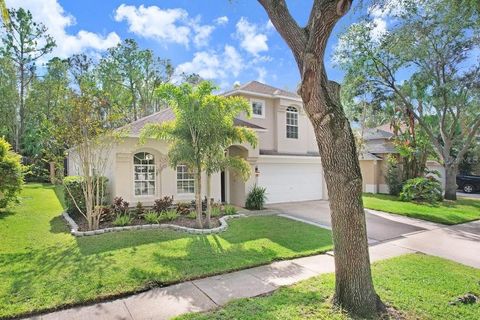 A home in TAMPA