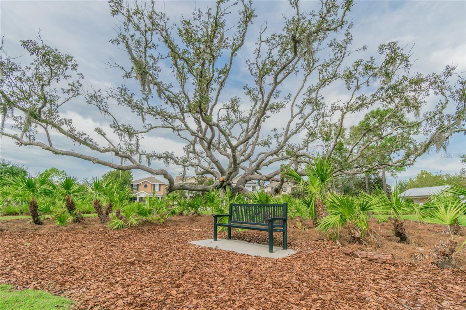 JUNES ACRES - Residential