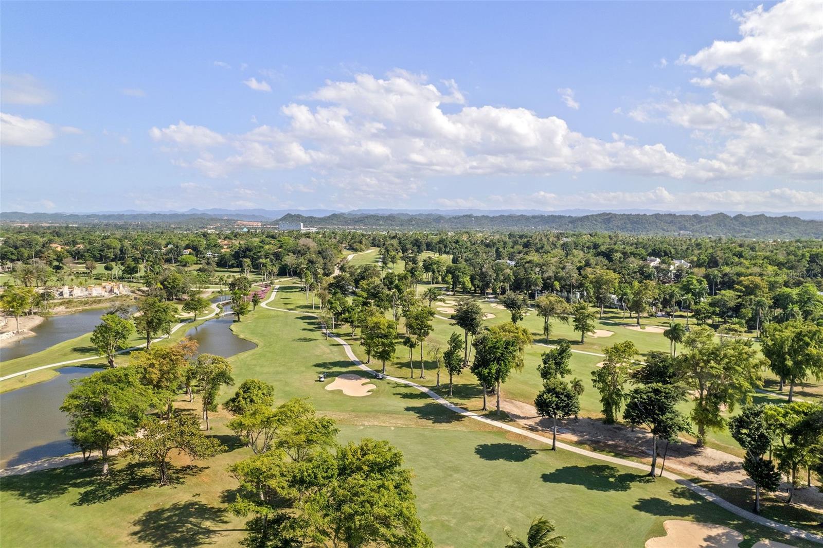 VILLAS DE DORADO ESTATES - Residential