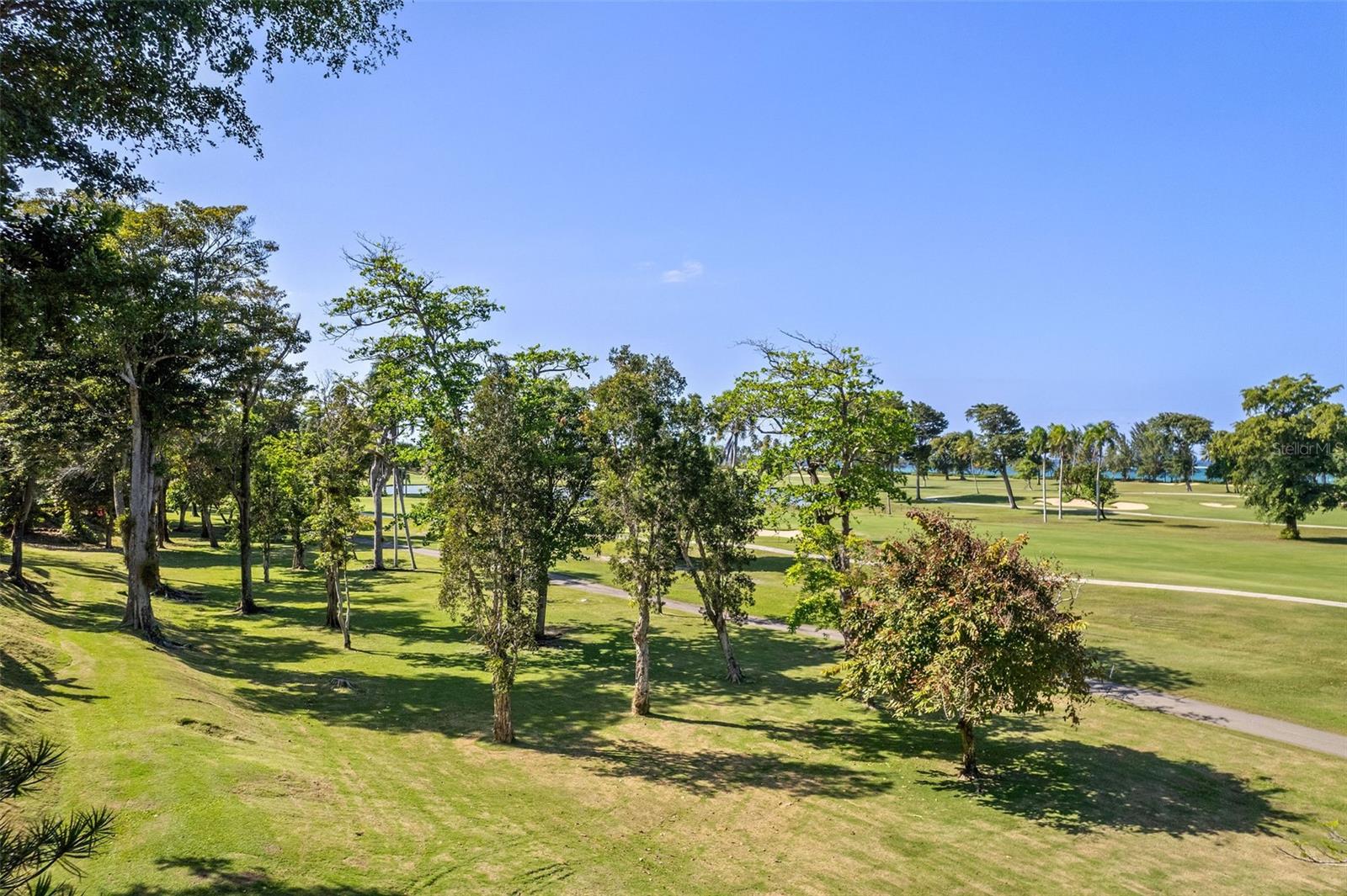 VILLAS DE DORADO ESTATES - Residential