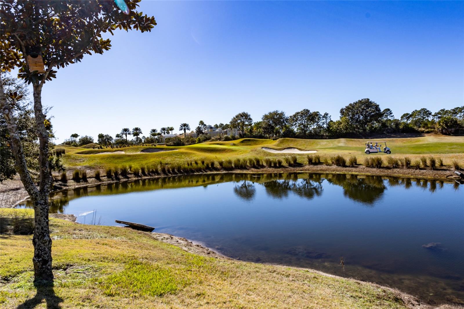 CONSERVATORY/HAMMOCK BEACH - Residential