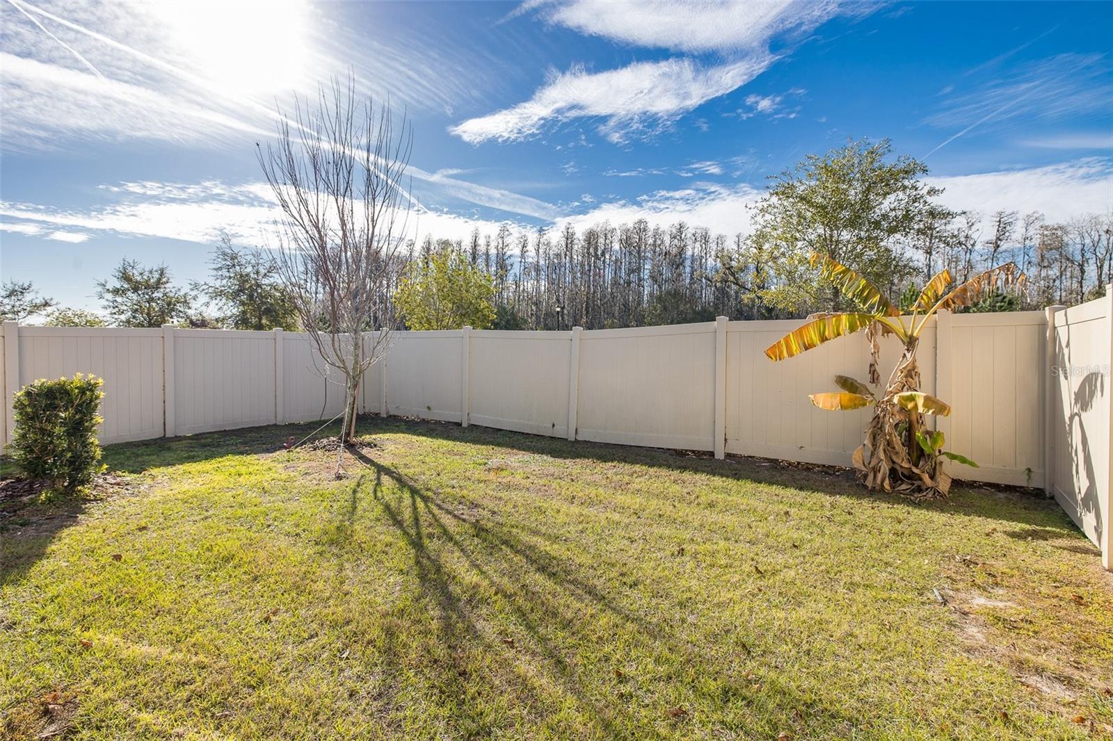 CYPRESS PRESERVE PH 3B 2B 3 & - Residential