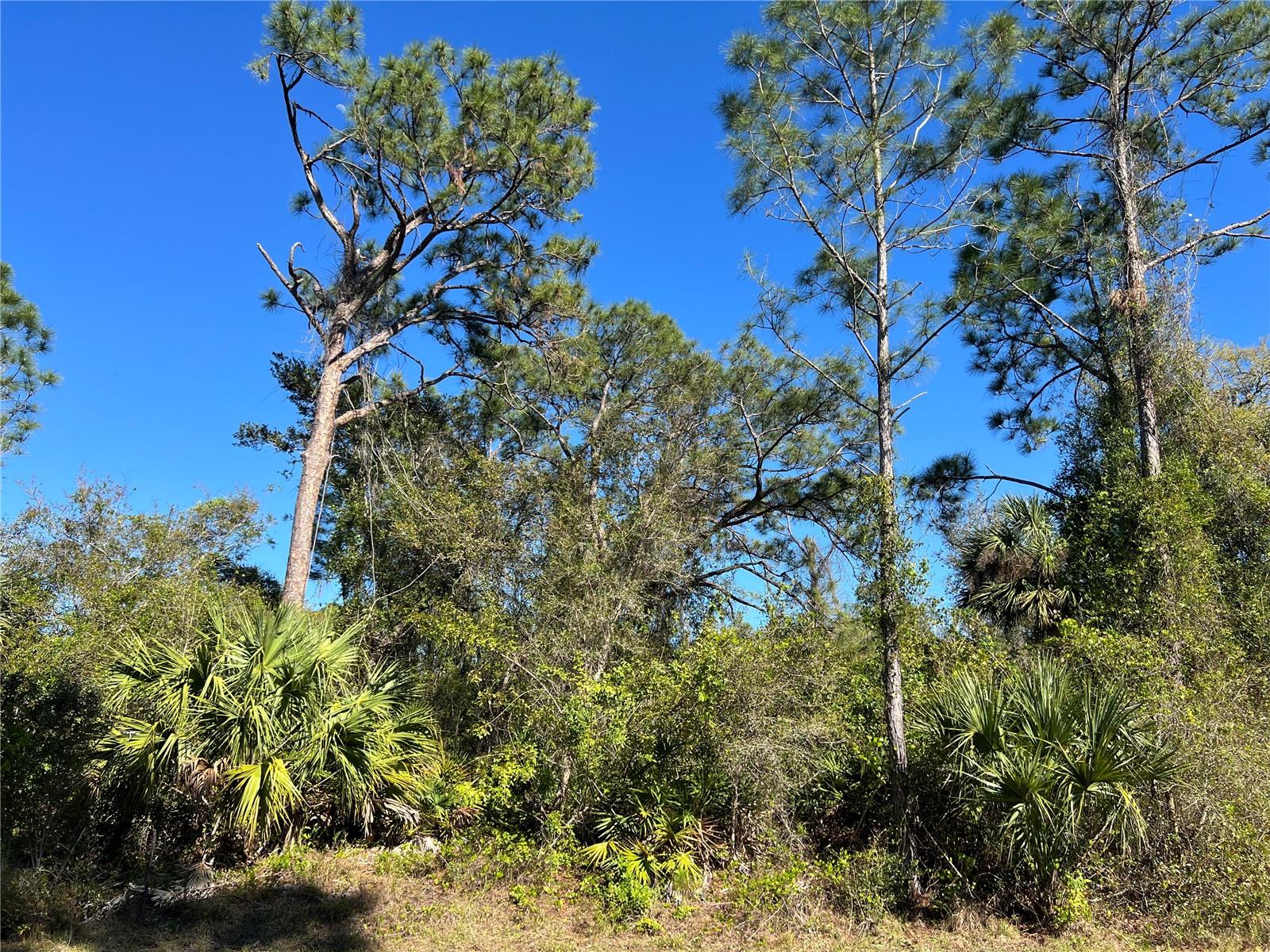 Welcome To North Port, Florida! Vacant lot available with 10,000 square feet to build your dream home here! The good news too is that North Port has many builders to choose from with different styles and characteristics. There are no HOA Fees or CDD Fees to worry about! North Port has been growing and one of the popular places to live in Florida. The city is home to the World Famous Warm Mineral Springs and the World Series Baseball Champions Atlanta Braves Spring Training Stadium. North Port has a waterpark for families and don't forget to visit Wellen Park for fine dining and shopping. Shopping and big box stores are a short drive for all your needs. Area beaches are 30 minutes away and many to choose from. Closest airports are in Punta Gorda and Fort Myers.