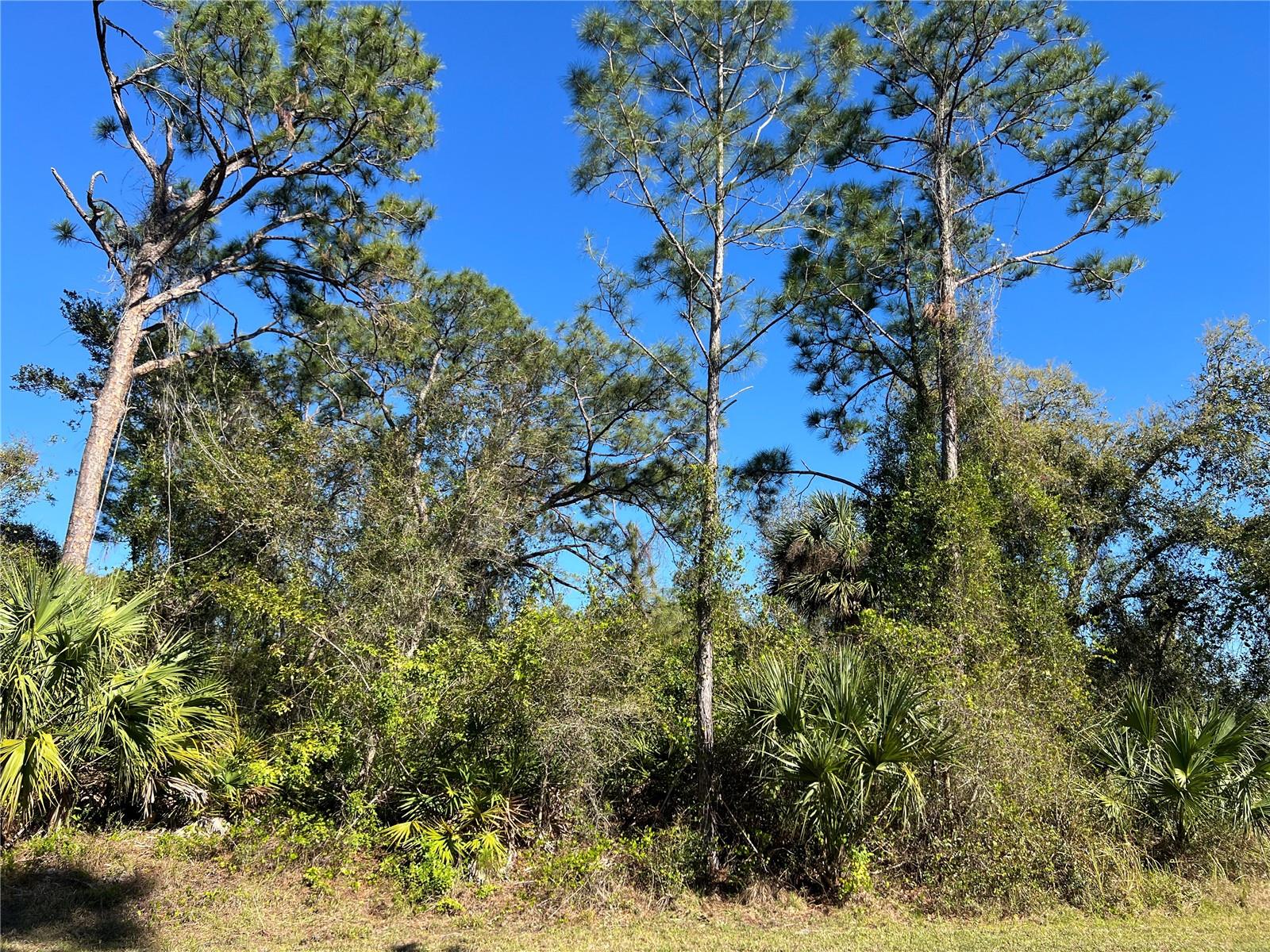 PORT CHARLOTTE SUB 23 - Land