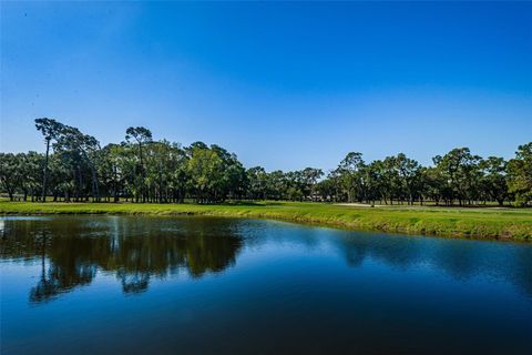 A home in PALM HARBOR