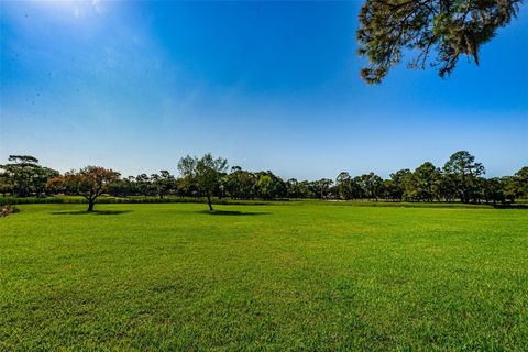 A home in PALM HARBOR