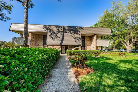 A home in PALM HARBOR