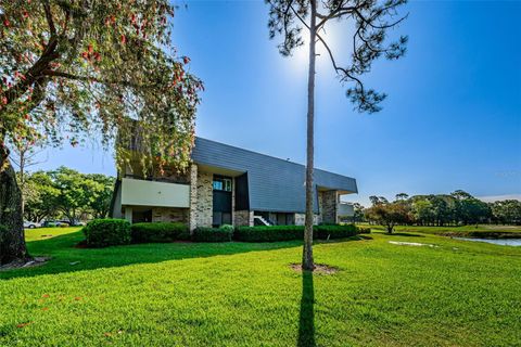 A home in PALM HARBOR