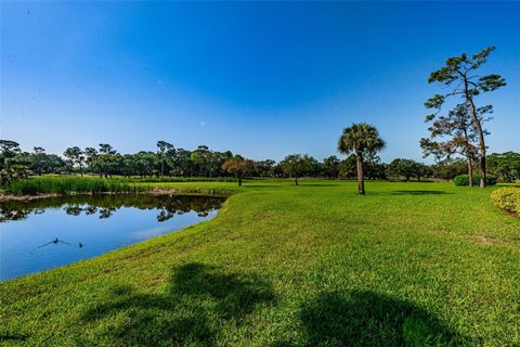 A home in PALM HARBOR