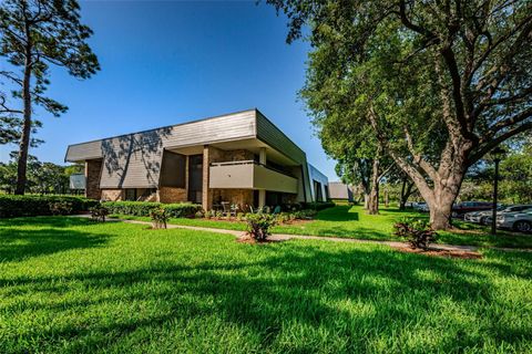 A home in PALM HARBOR