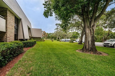 A home in PALM HARBOR