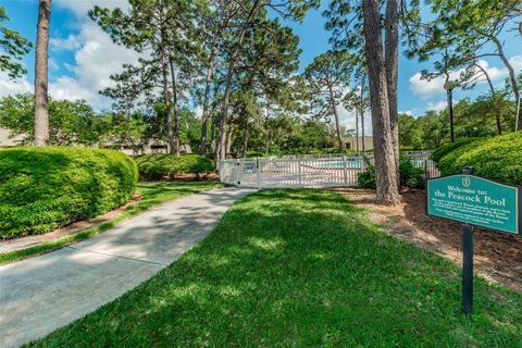 A home in PALM HARBOR