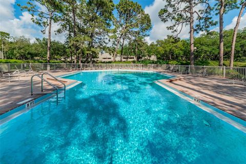 A home in PALM HARBOR