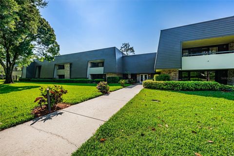 A home in PALM HARBOR