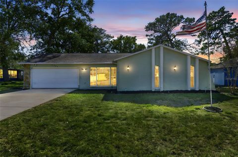 Photo of 11394 Collingswood Street, Spring Hill, FL 34608 (MLS # W7880750)