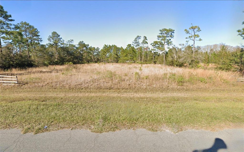 Photo of Reynolds Parkway, Orlando, FL 32833 (MLS # TB8434156)