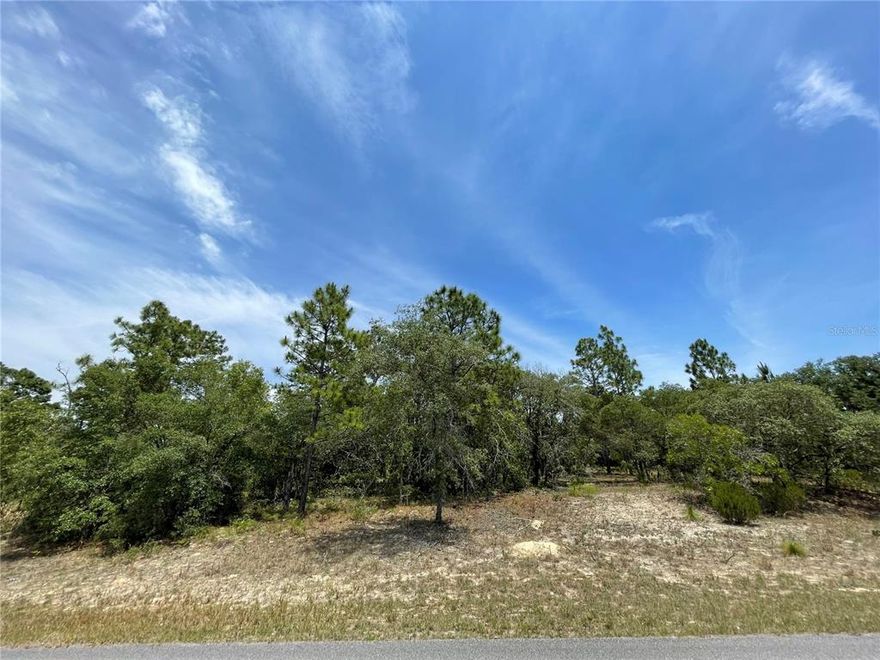 **** PRICE REDUCED **** Perfect for investment or to Build your forever home. Inquire about this seller's other lots in the area.  NO HOA fees.  The lot is 80 x 125 square feet.  That's approximately a quarter of an acre, approximately 10,000 sqft. This residential lot is less than a 5-minute drive to the Pine Ridge Golf Club, the Citrus Springs Golf & Country Club as well as Concert venues like the Citrus Springs Community Center. Located on the west coast of Florida; Citrus Springs is a relaxing, peaceful place full of adventure with a rural feel. There's a lot of activities you can do like fishing, swimming, hiking, biking, river rafting, golfing, biking and more. Restaurants are within a 4-minute drive. This lot is a 20-minute drive to Rainbow Springs State Park via N Elkcam Blvd, Citrus County Dog Park, and Homosassa Springs Wildlife State Park.  Launch the boat and go fishing in the Gulf of Mexico approx. 30 minutes away. Day trips to Orlando and Tampa only take 1 hour and a half.    Call us now and make your offer!