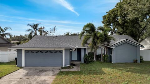 A home in ORLANDO