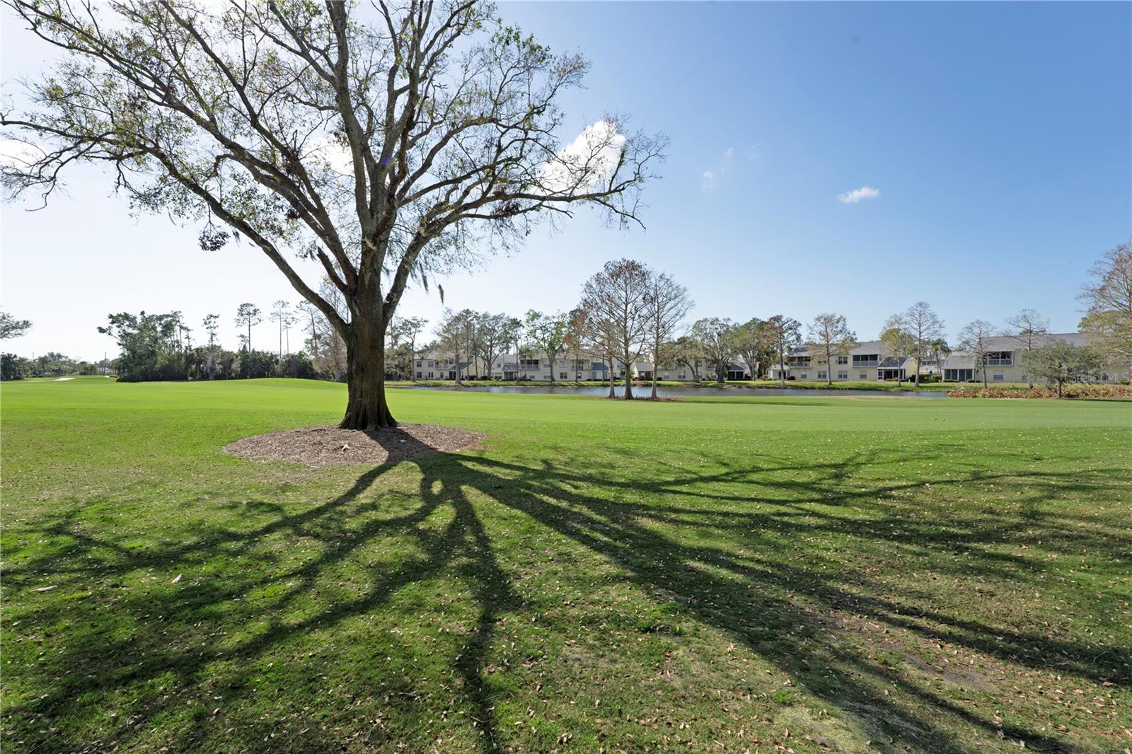 TERRACES 1 OF TARA - Residential