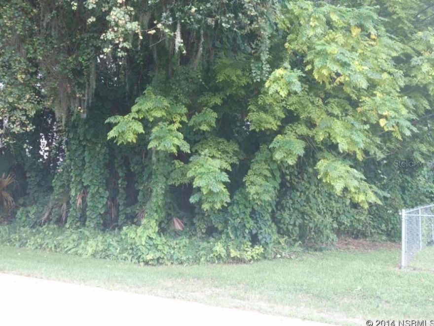 BUILD YOUR DREAM HOME HERE.; Cleared: No ;Water: Available at Site