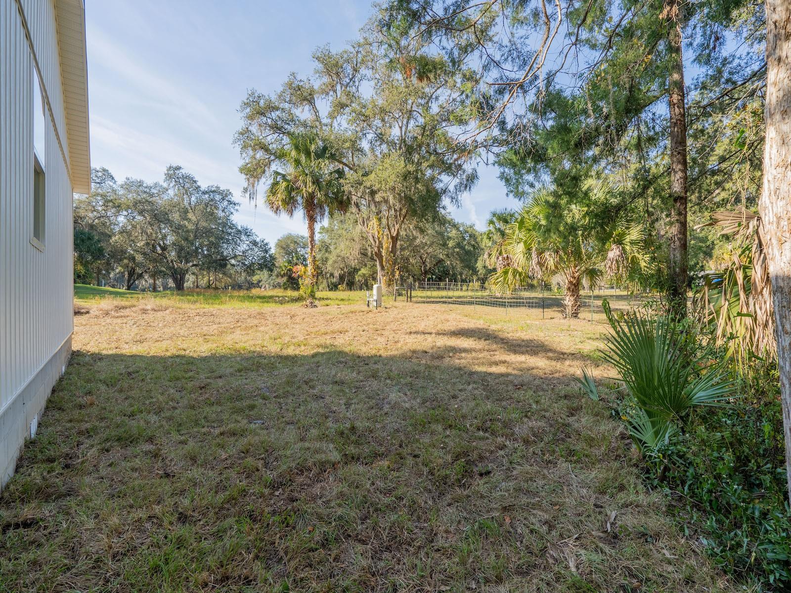 FOREST SPRING PARK - Residential