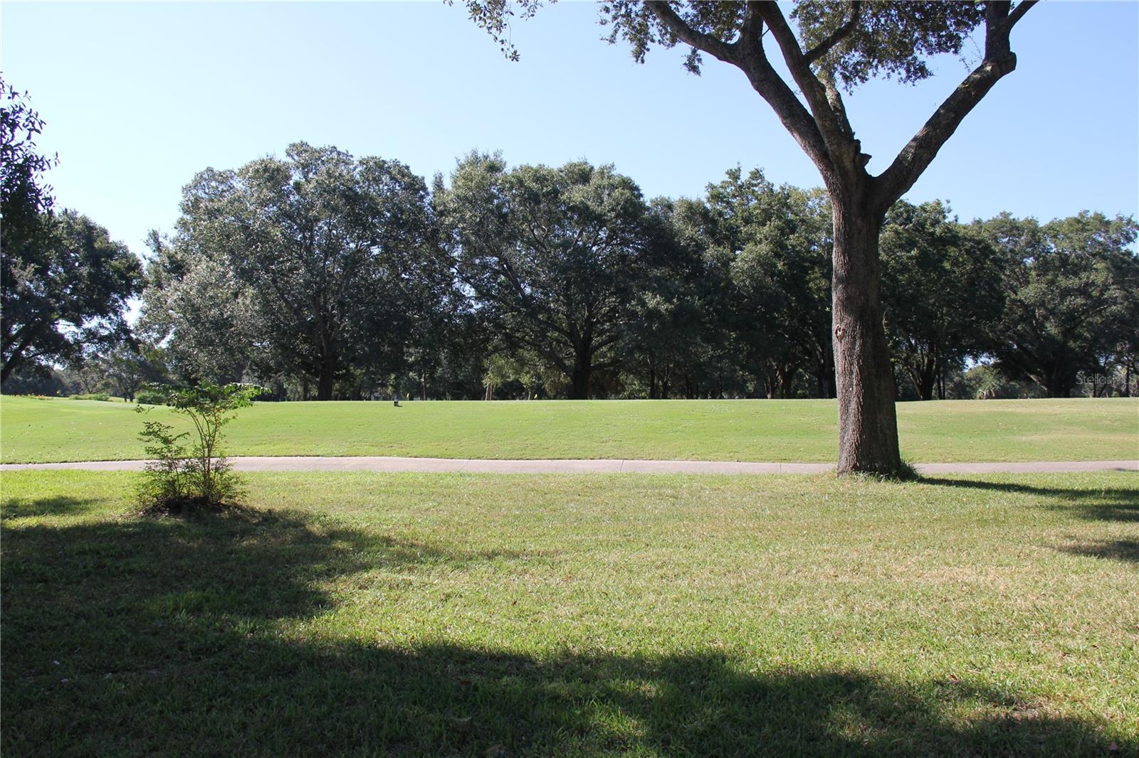 MIDDLEMORE LANDINGS - Residential