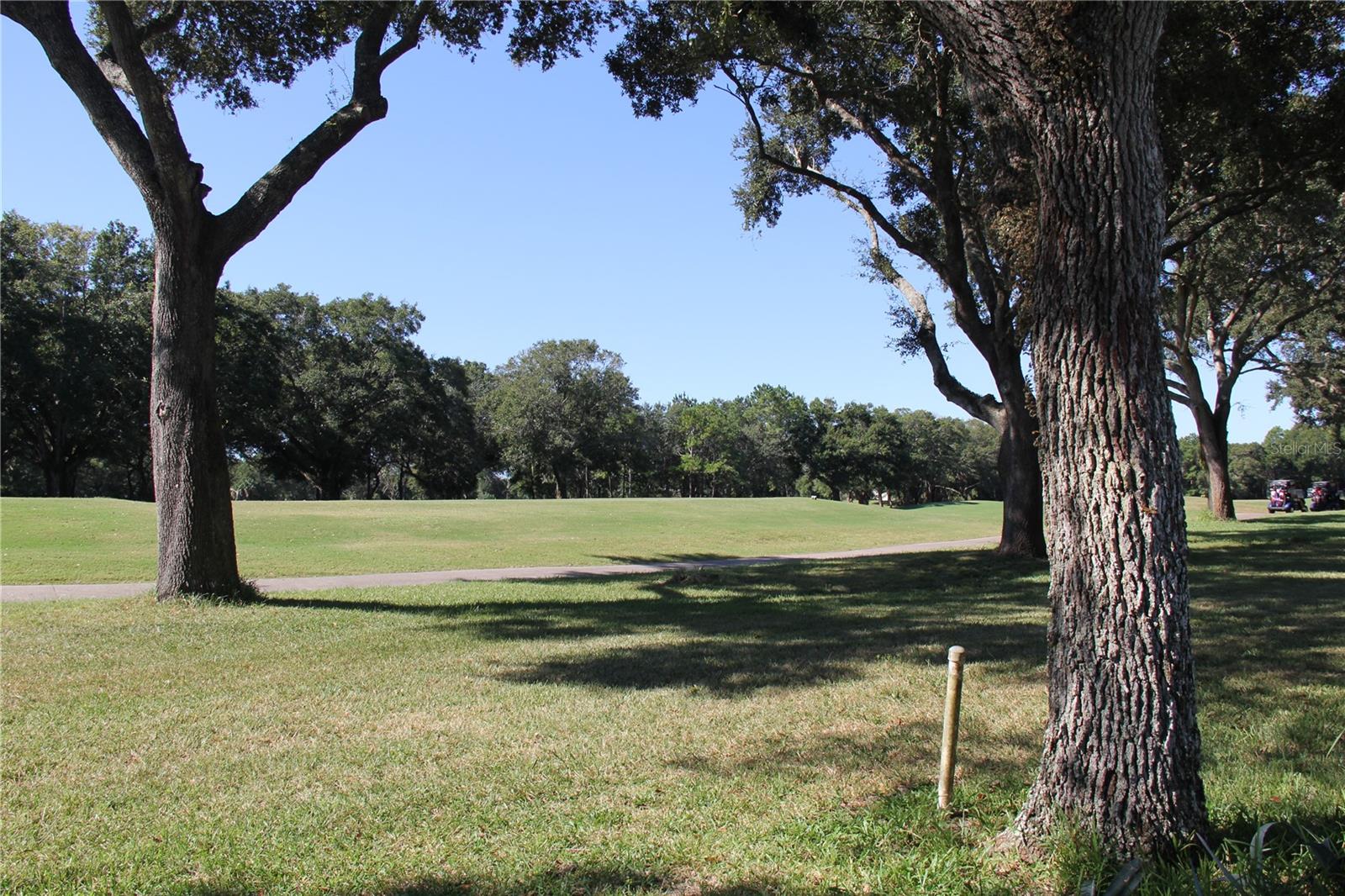 MIDDLEMORE LANDINGS - Residential