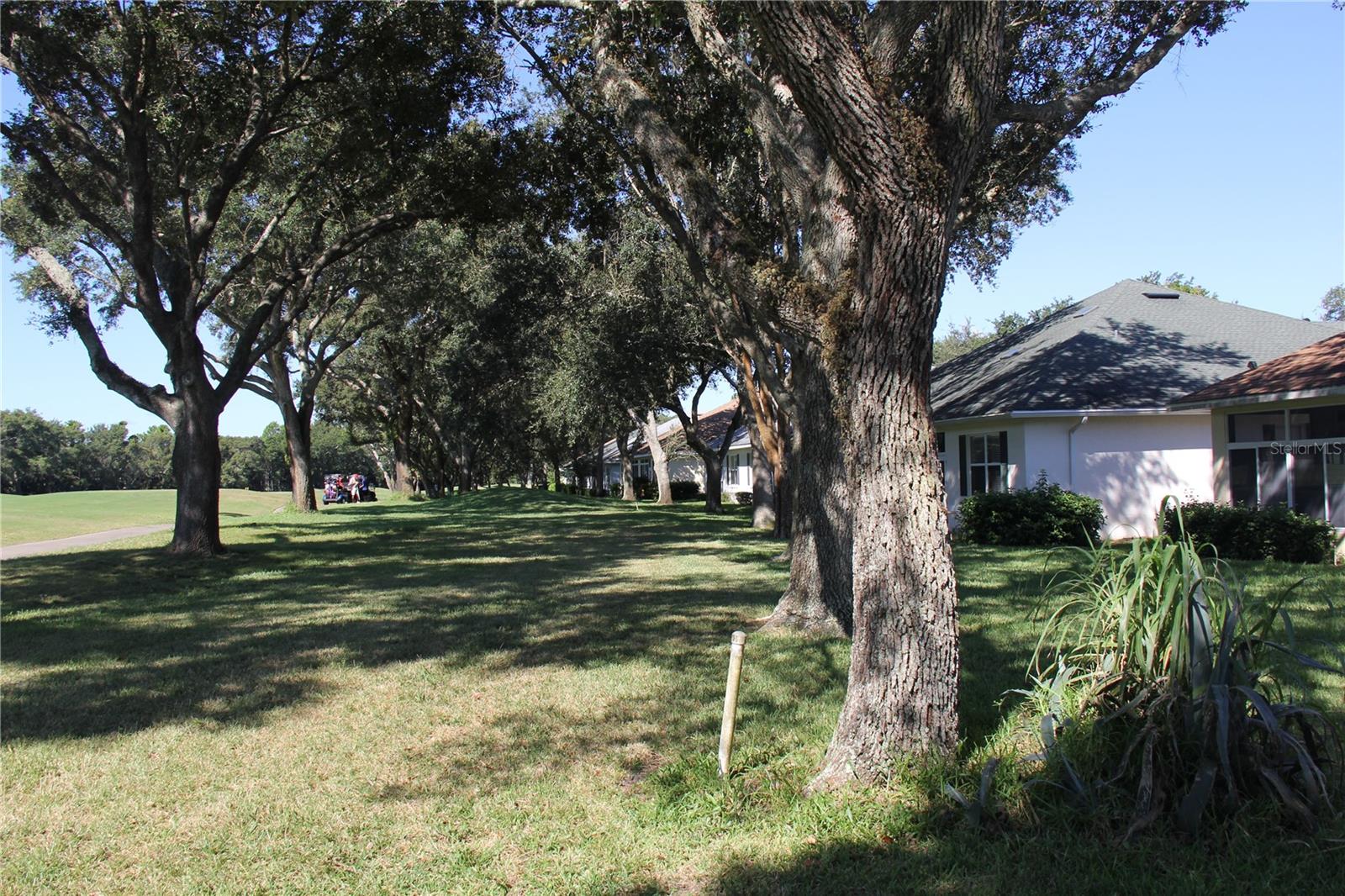 MIDDLEMORE LANDINGS - Residential