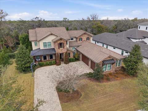 14910 FISHHAWK PRESERVE DRIVE LITHIA FL 33547