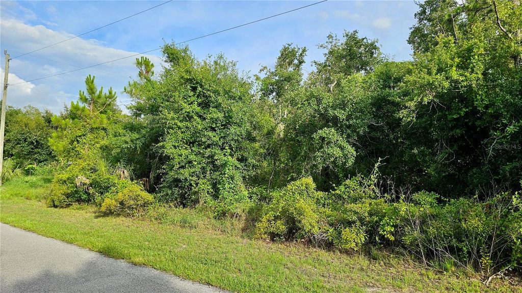 Photo of 13373 Drummond Avenue, Port Charlotte, FL 33953 (MLS # C7512897)