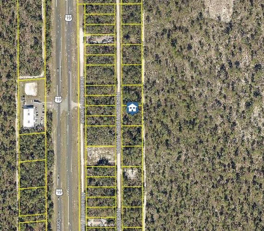 Photo of 8 Necklace Warbler Avenue, Brooksville, FL 34614 (MLS # W7881609)