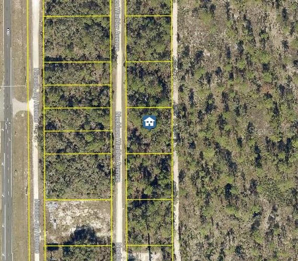 Photo of 8 Necklace Warbler Avenue, Brooksville, FL 34614 (MLS # W7881609)