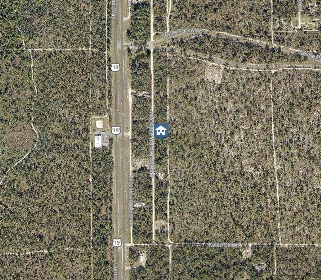 Photo of 8 Necklace Warbler Avenue, Brooksville, FL 34614 (MLS # W7881609)