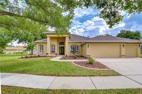 Photo of 14112 Creek Run Drive, Riverview, FL 33579 (MLS # TB8494874)