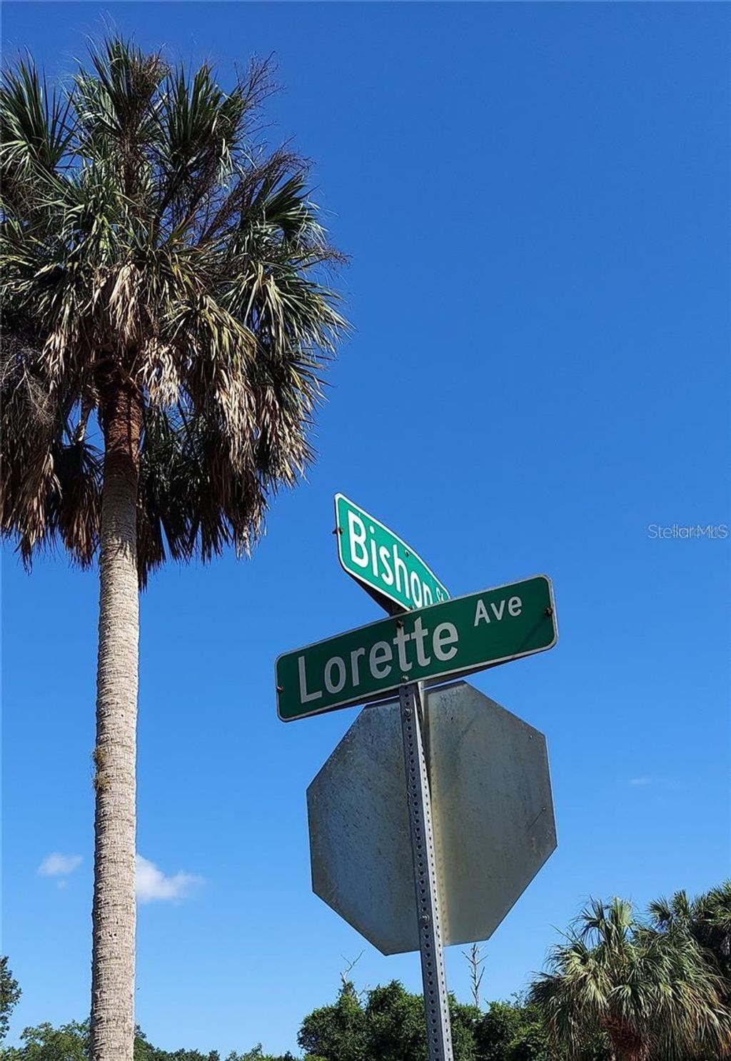 Photo of 20272 Lorette Avenue, Port Charlotte, FL 33954 (MLS # N6135752)