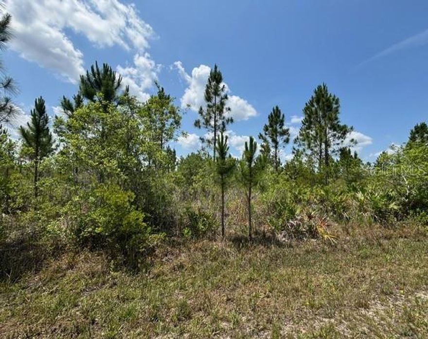 PRICE IMPROVEMENT! Build Your Dream Home in Scenic Indian Lake Estates.  Welcome to Indian Lake Estates, a serene and picturesque community nestled by the stunning 7,500-acre Lake Walk-In-Water—nationally recognized as one of the best bass fishing lakes in Florida. This half-acre lot offers the perfect opportunity to create your custom dream home in a community that blends natural beauty, abundant wildlife, and an active lifestyle.

Enjoy exclusive access to a wealth of resort-style amenities, including: A gated entrance for added security, Florida’s longest freshwater fishing pier, Private lakefront dock, beach, boat marina, and ramp, A spacious 23,000 sq. ft. clubhouse with fitness center, cafe, and library, 
18-hole golf course, tennis and basketball courts, Community pool and covered pavilion with propane grills and picnic areas, Onsite post office, churches, and pro shop.

Located just 20 miles east of Lake Wales, Indian Lake Estates offers a rare mix of peaceful country living and convenient access to major attractions. Orlando and Disney are just over an hour to the north, while Tampa, Busch Gardens, and the Gulf Coast beaches are just over an hour west.

Nature lovers will appreciate the abundance of wildlife—deer, turkey, turtles, cranes, and more. Whether you’re an avid golfer, fisherman, boater, or someone who simply loves the outdoors, Indian Lake Estates is your gateway to a lifestyle filled with tranquility, recreation, and convenience. Live the country life. Embrace the natural beauty.