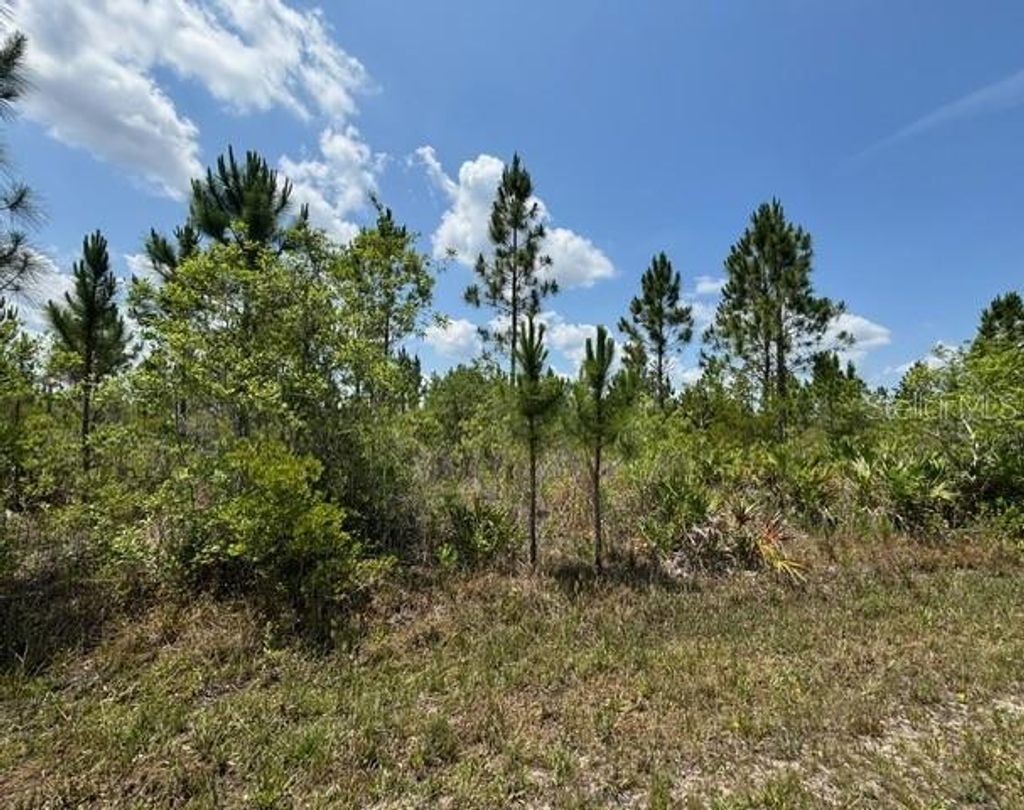 Photo of 1015 Calliandra Drive, Indian Lake Estates, FL 33855 (MLS # P4934859)