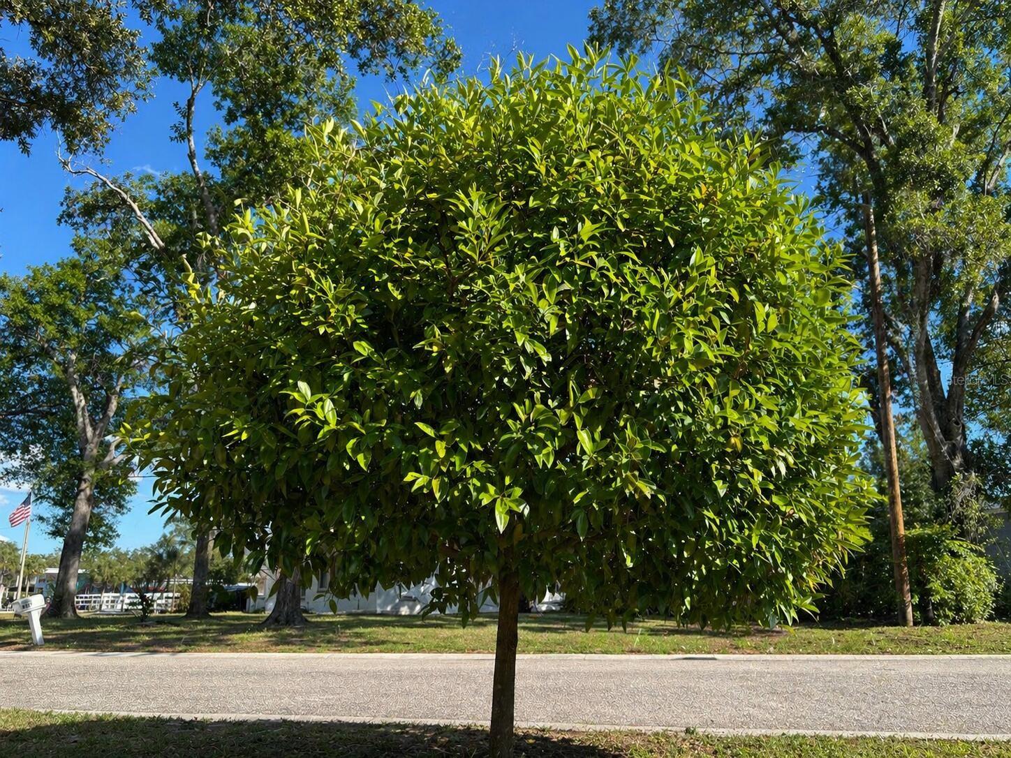 GRANDVIEW ACRES UNIT 1 - Residential