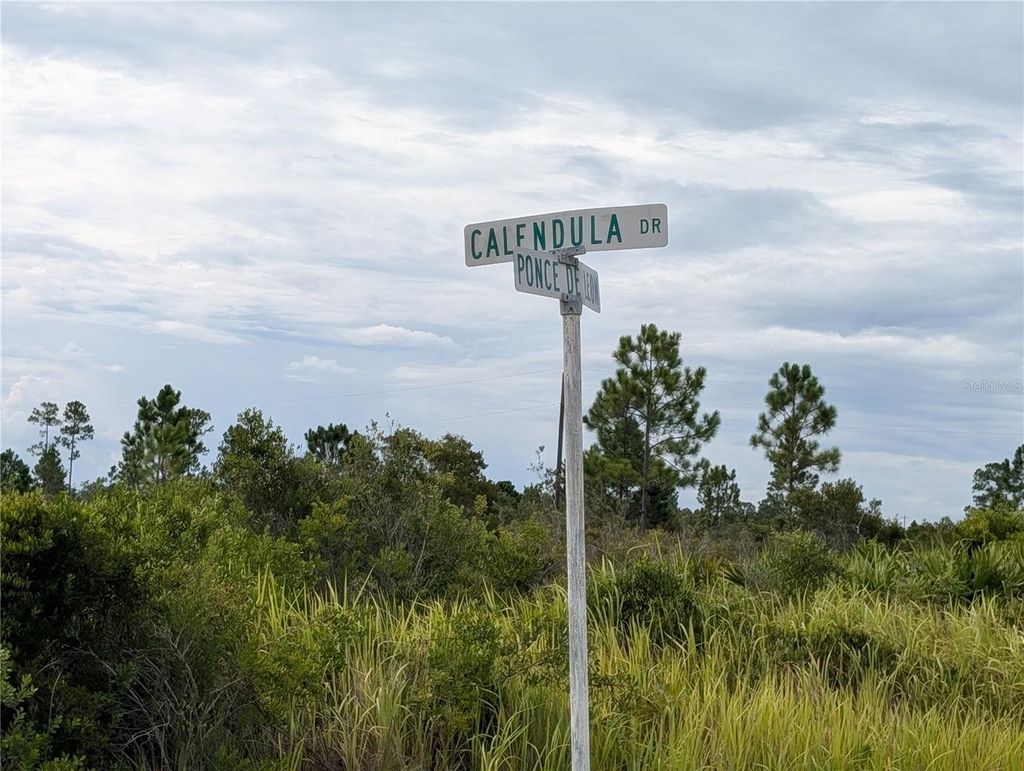 Photo of 513 Calendula Drive, Indian Lake Estates, FL 33855 (MLS # TB8415384)