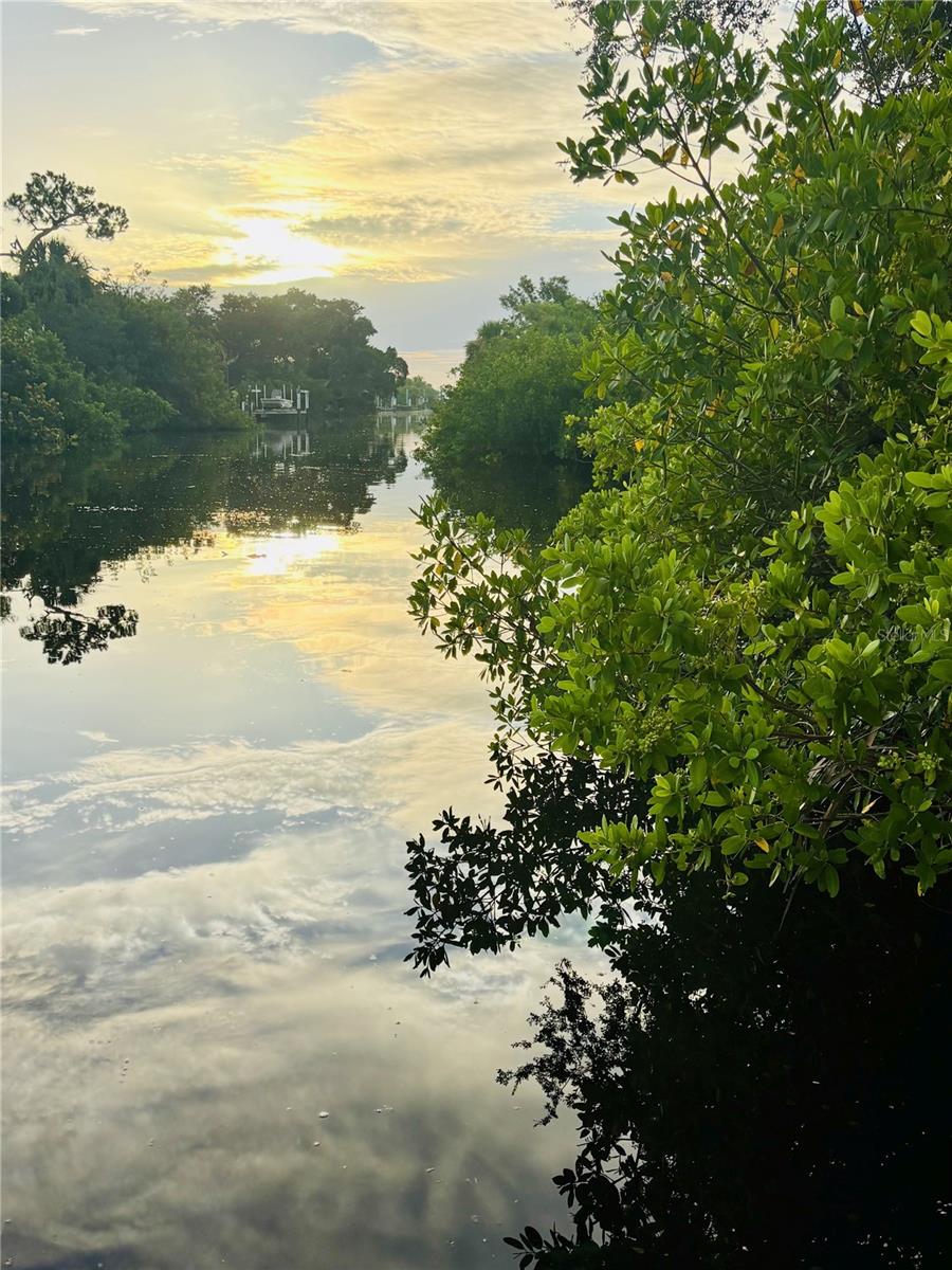 CHARLOTTE PARK - Residential