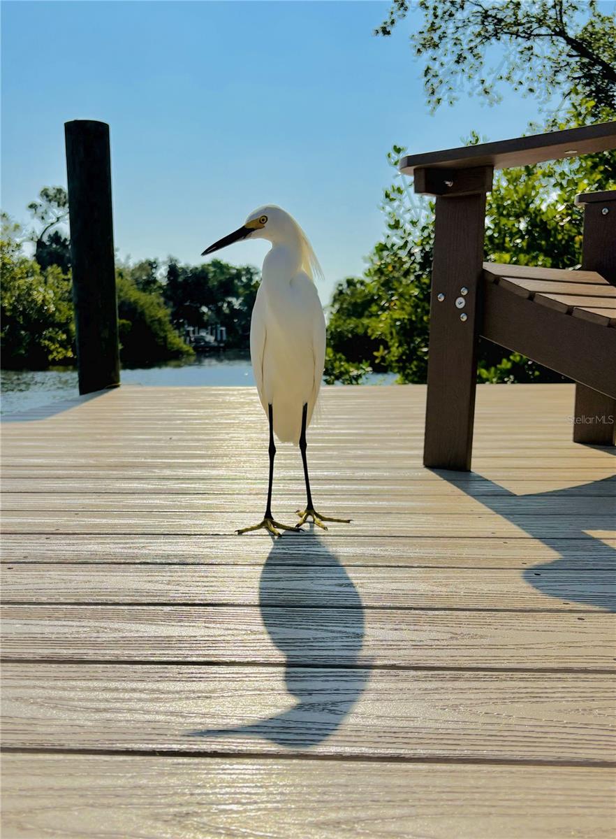 CHARLOTTE PARK - Residential