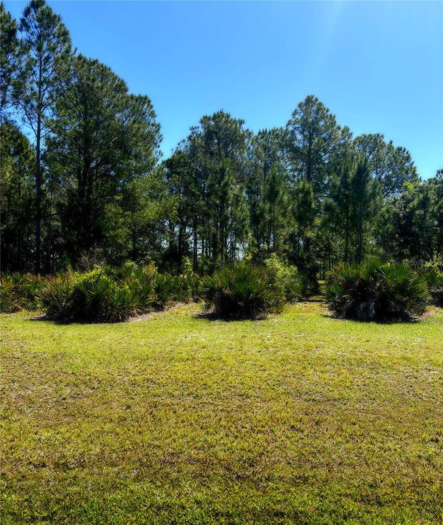 AFFORDABLE AIRPARK LIVING in Central Florida! RIDGE LANDING is a gated fly-in community with a paved, lit runway and streets in Frostproof. This .92-acre buildable lot sits on a 60’ taxiway leading to a 3,000’ x 60’ runway with radio lighting. The community offers secure fencing, underground utilities, lagoons, and natural surroundings. Contact us for a survey and home plans.
