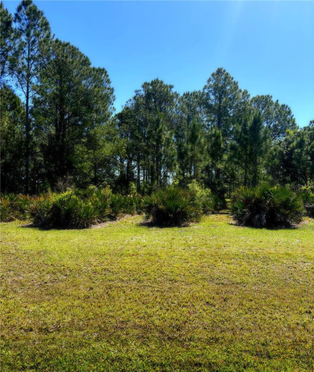 Photo of 4566 Wrightbros Road, Frostproof, FL 33843 (MLS # P4936995)