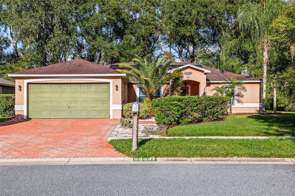 Photo of 24437 Painter Drive, Land O Lakes, FL 34639 (MLS # TB8438623)