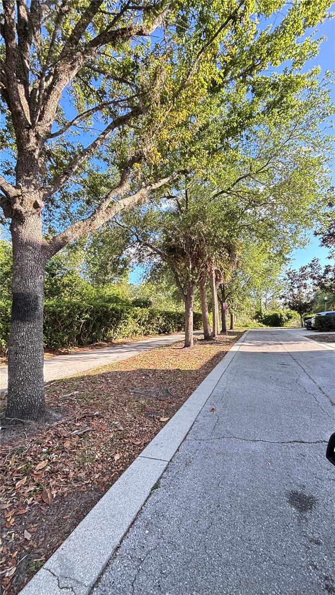 VILLAS/EAST PARK - Residential Lease