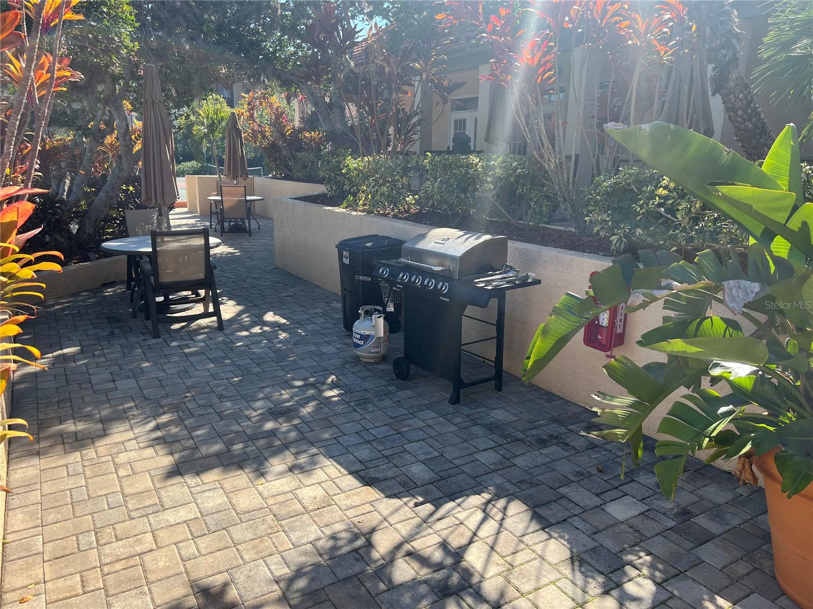 AUDUBON CONDO AT FEATHER SOUND - Residential Lease