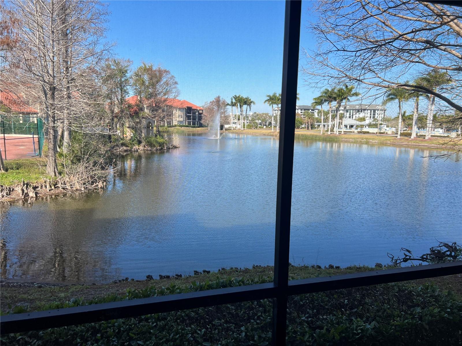 AUDUBON CONDO AT FEATHER SOUND - Residential Lease