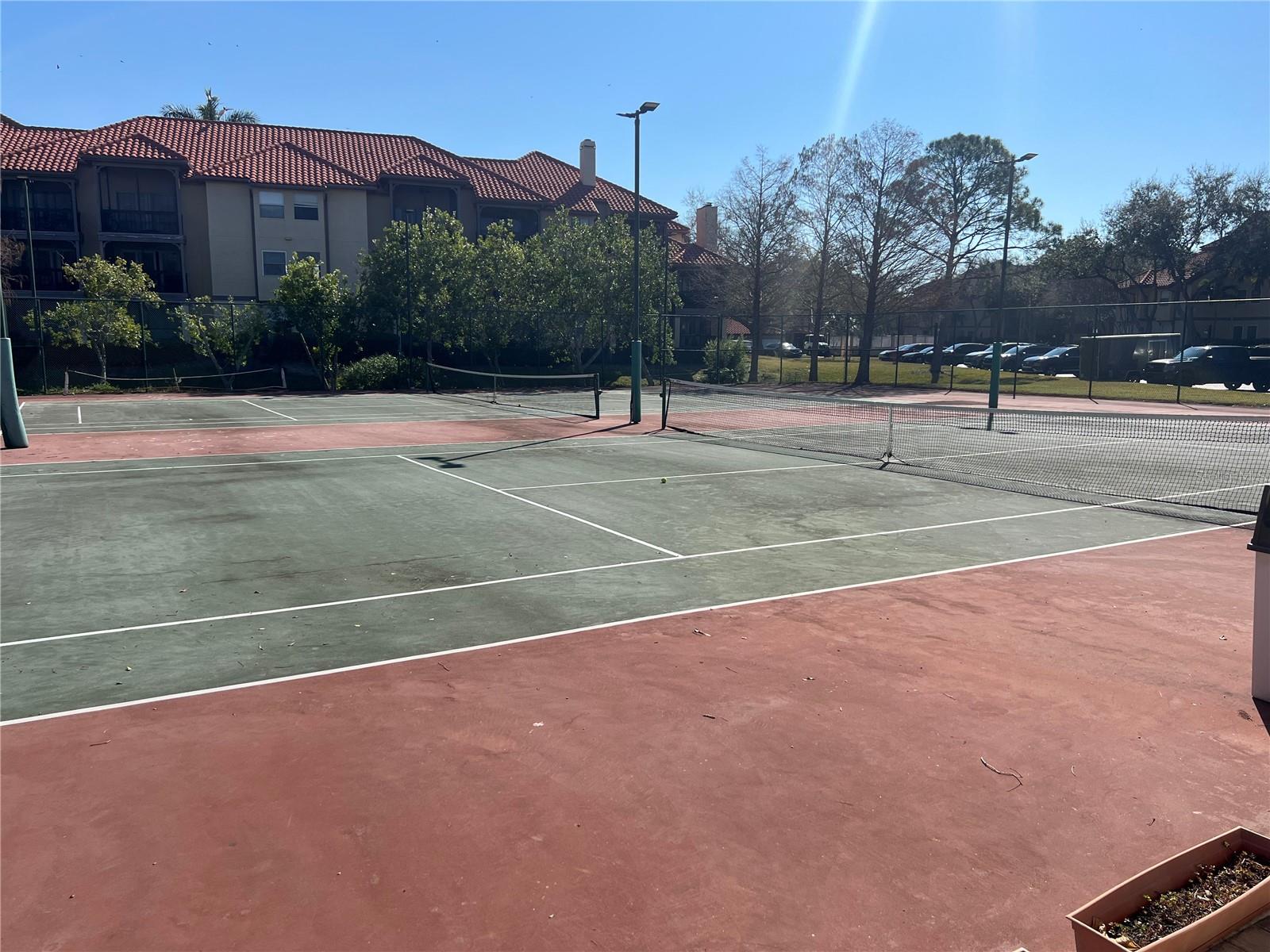 AUDUBON CONDO AT FEATHER SOUND - Residential Lease